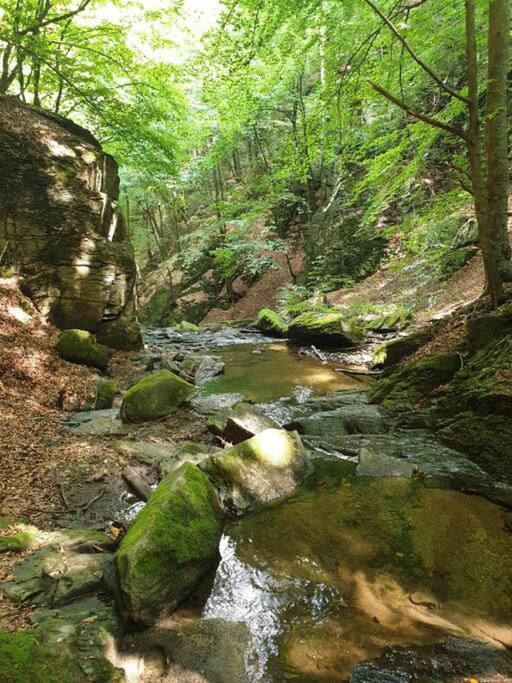 באיה מארה Waterfall A Frame, Maramures מראה חיצוני תמונה
