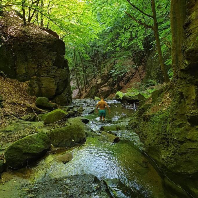 באיה מארה Waterfall A Frame, Maramures מראה חיצוני תמונה